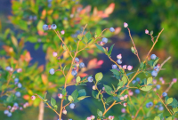 ???????????????????????????????????????????????