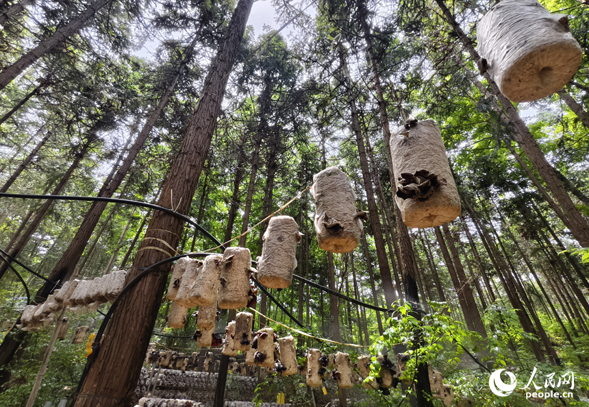 ??????????????????????????????????????????????? 