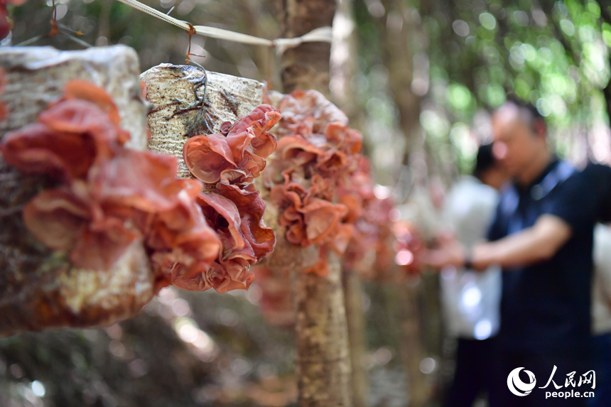 ??????????????????????????????????????????????? 