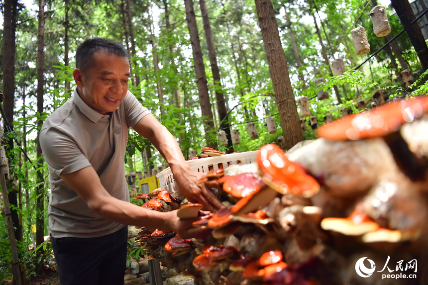 ??????????????????????????????????????????????? 