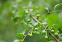 ???????????????????????????????????