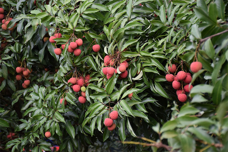 ?????????????????????????????????????????????????????????????????????