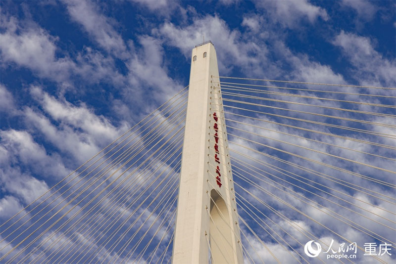 ???????????????????????????????????????????????????236????