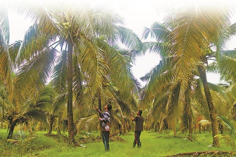 ????????????????????????????????????????????????????????????????????????????????????????????????????????? ????????????????????????????????????????????????????