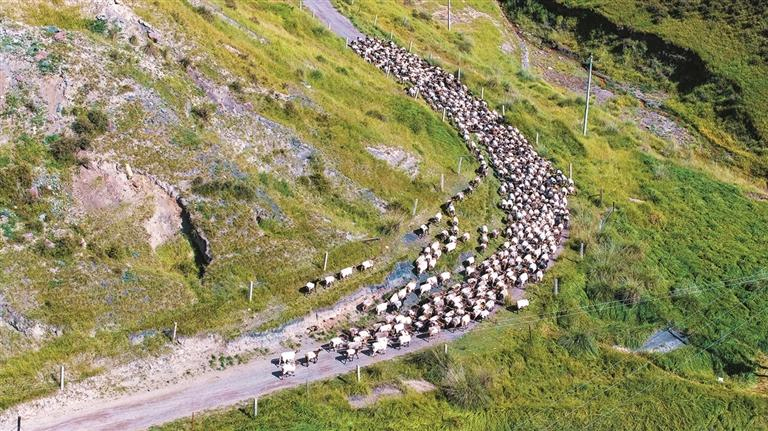 ?????????????????? ???????????????????????????????????????????????????????????????????????????????????????????????????????????“????????????????????????????????????????”???????????????????????????????????????????????????????????????????“???????????????????????????????????????????????????????????”???????????????????????? ???????????????????????????????????????????????????????20??????????????????????????????????????????????????????????????????????????????????????????????????? ??????????????????? ??????????????????? ??????????????? ????????????????????????????????????????? ??????????????????????????????????????????????????????????????????????????????????????????????????????????????????????????“????????????????????????????????????????????????????????????”???????????????????